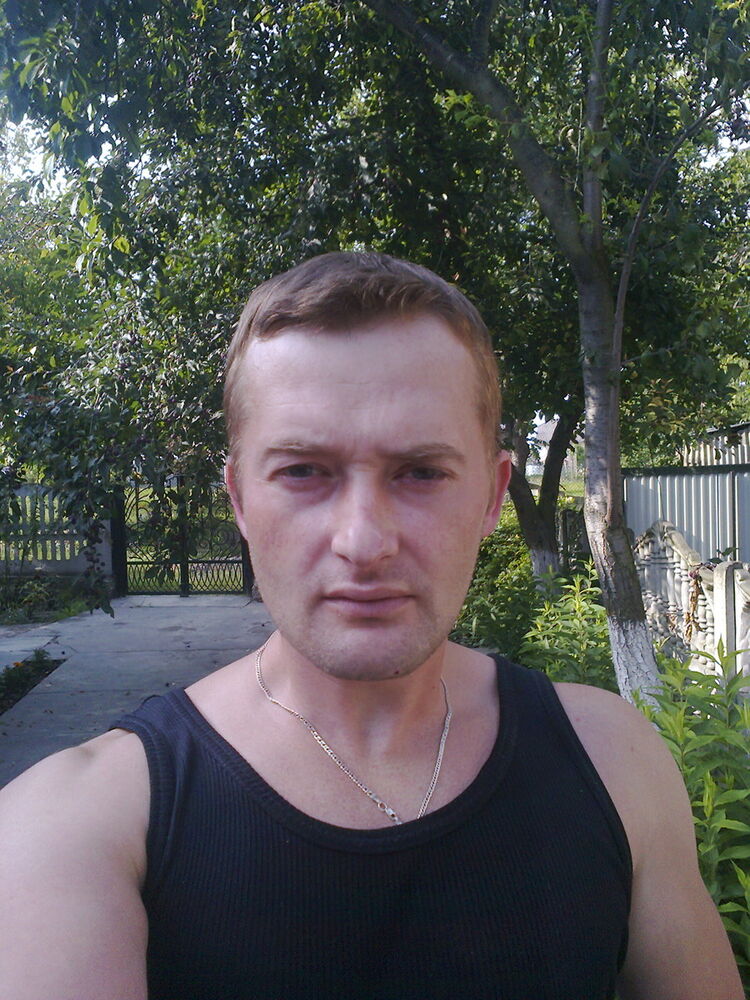  8234632  , 39 ,    