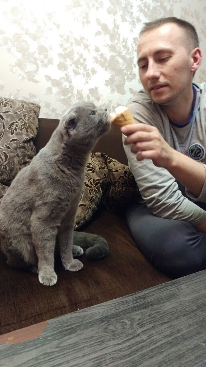 ���� 55589192 ������� ������, 36 ���, ���� ���������� � ������