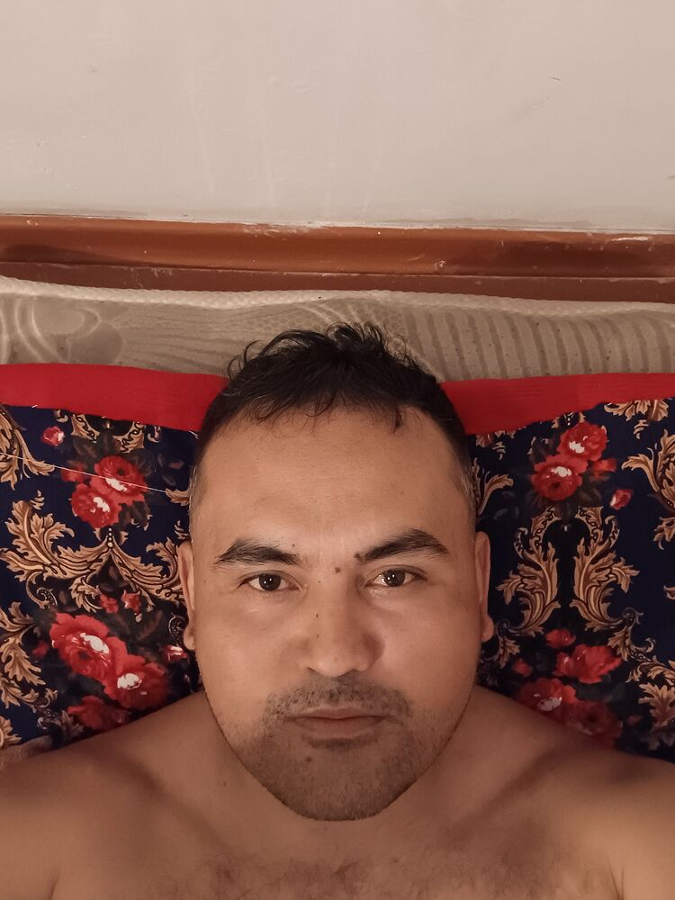  50593272  , 37 ,    