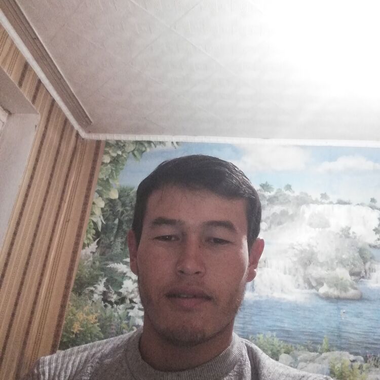 ���� 24492052 ������� ��������, 32 ����, ���� ���������� � ������