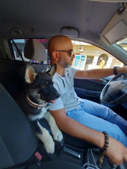 ���������� �������, ���� ������� ���, 44 ����, ������������ ��� ������, ����� � ���������, c�������� ���������