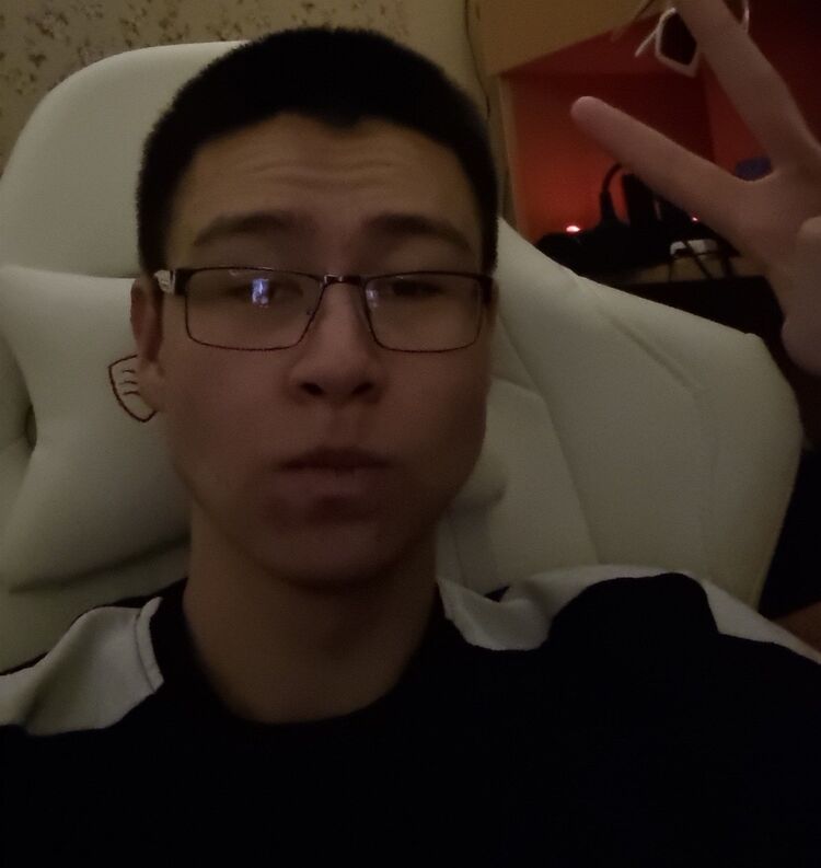  53551142  , 21 ,    