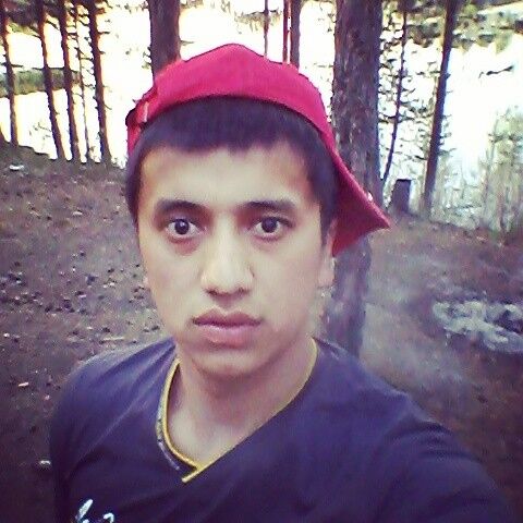 ���� 8303182 ������� �������, 31 ���, ���� ���������� � �������