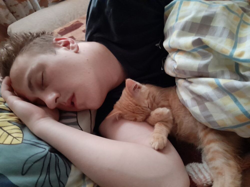 ���������� ����, ���� ������� �����, 29 ���, ������������ ��� ������, c�������� ���������