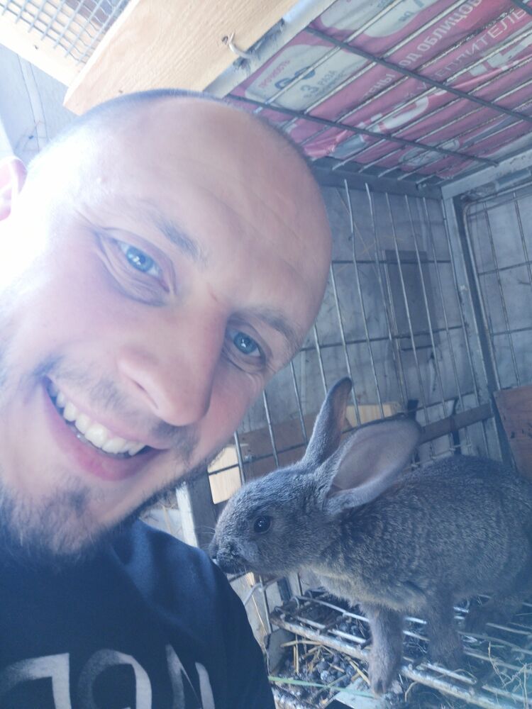 ���� 27684322 ������� ���������, 36 ���, ���� ���������� � ���������