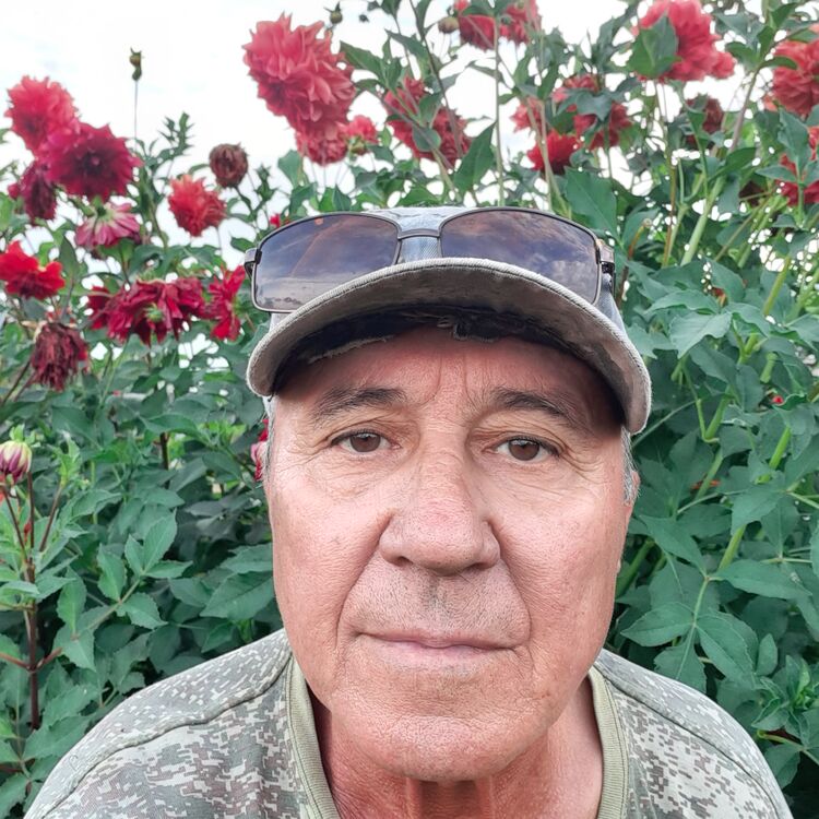 ���������� ����, ���� ������� ����, 58 ���, ������������ ��� ������, ����� � ���������