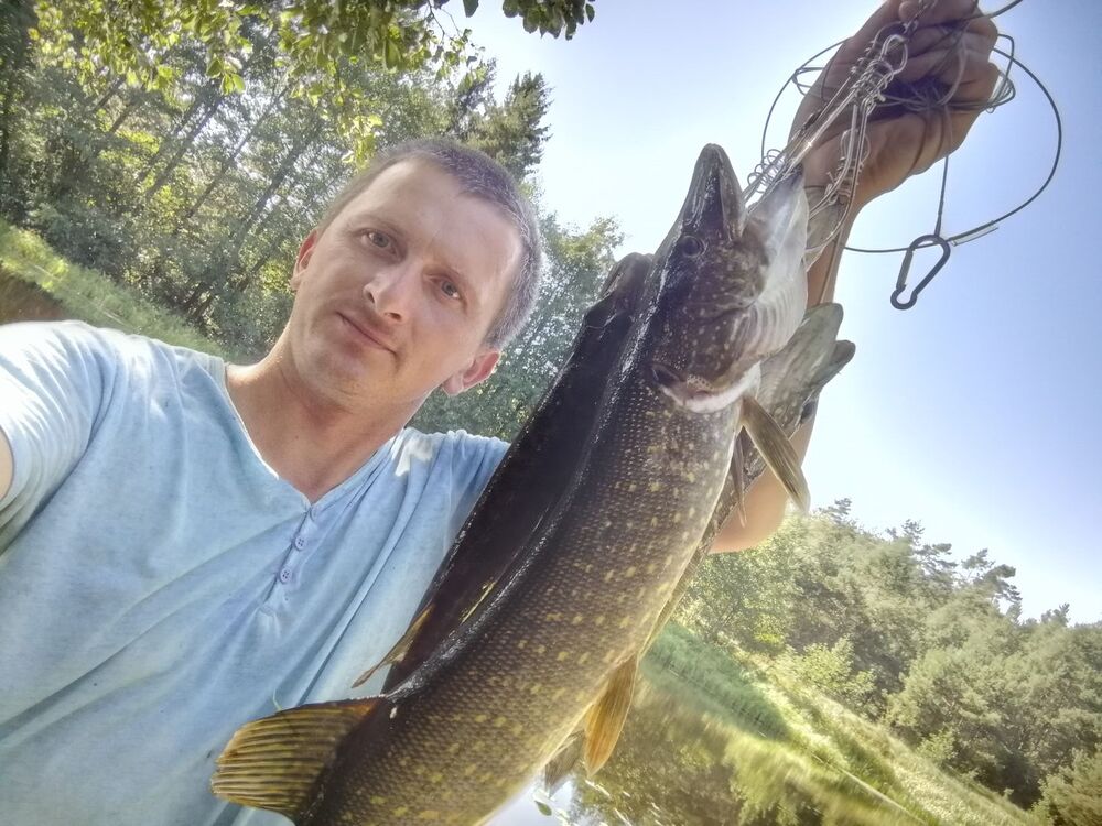 ���������� �����, ���� ������� ����, 38 ���, ������������ ��� ������, ����� � ���������, c�������� ���������