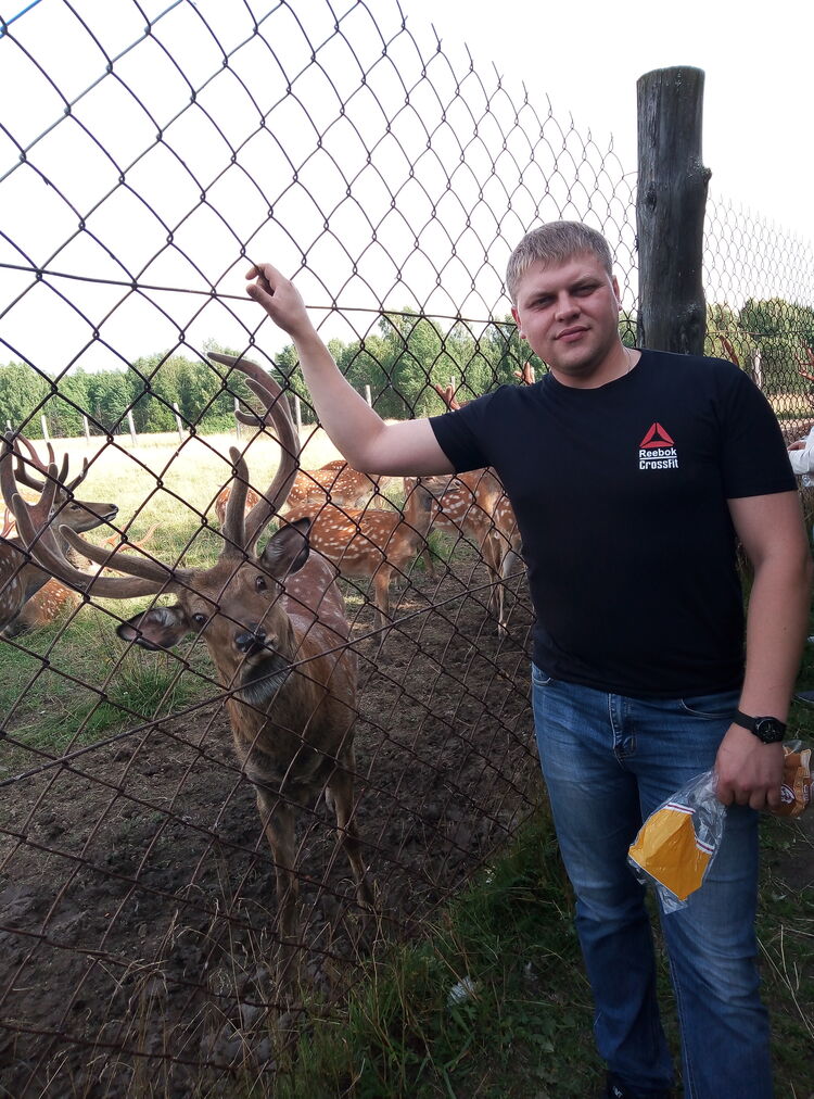 ���������� ������ �����, ���� ������� ���������, 35 ���, ������������ ��� ������, ����� � ���������, c�������� ���������, ���������