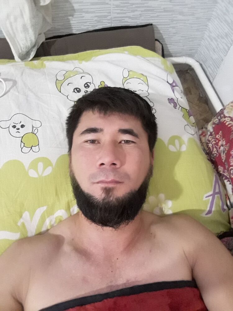  43592542  , 33 ,    
