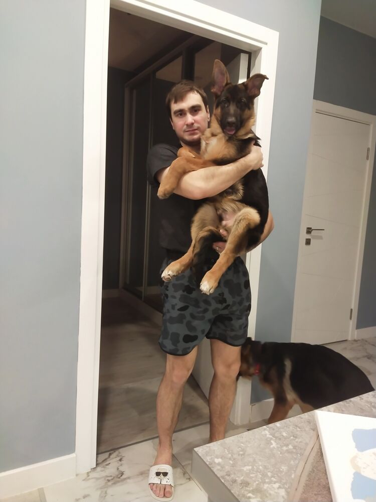 ���������� ������, ���� ������� �����, 28 ���, ������������ ��� ������, ����� � ���������, c�������� ���������