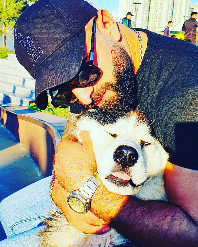 ���������� �����-���������, ���� ������� Edik, 30 ���, ������������ ��� ������, ����� � ���������