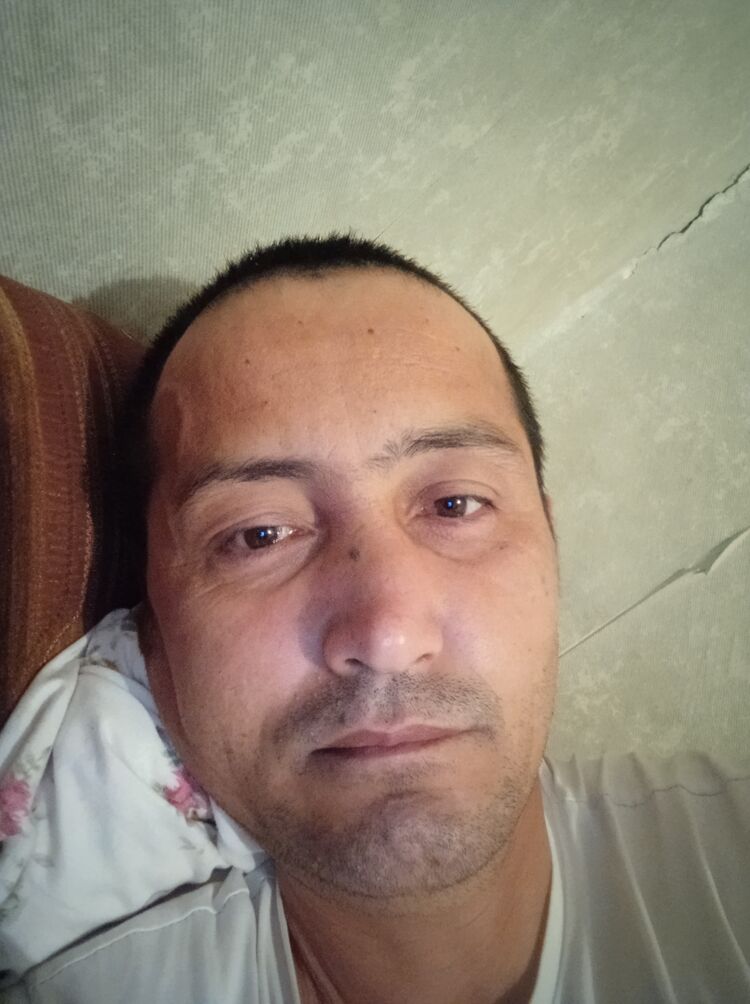 ���� 43613752 ������� ������, 40 ���, ���� ���������� � �����������