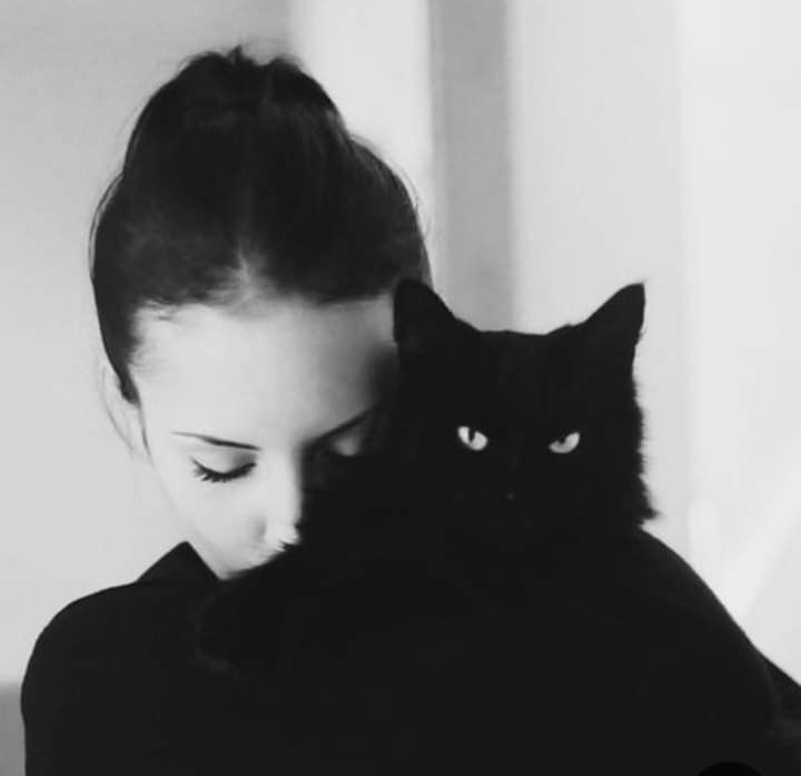 ���� 29151672 ������� ����, 40 ���, ���� ���������� � ��������