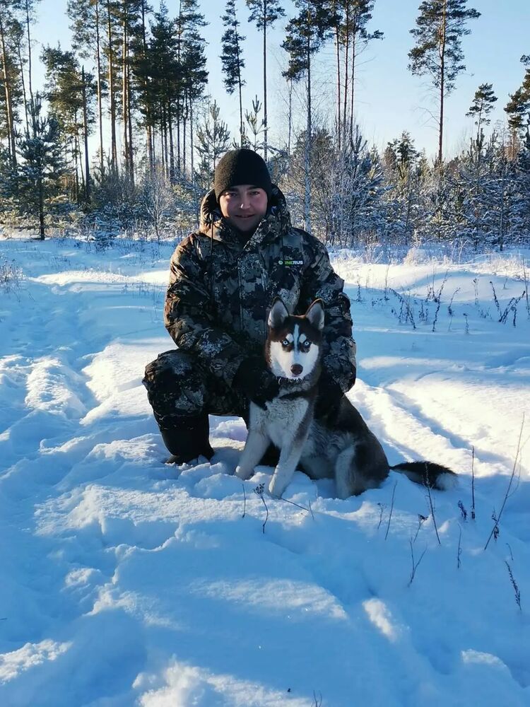 ���� 31305492 ������� ������, 29 ���, ���� ���������� � �������