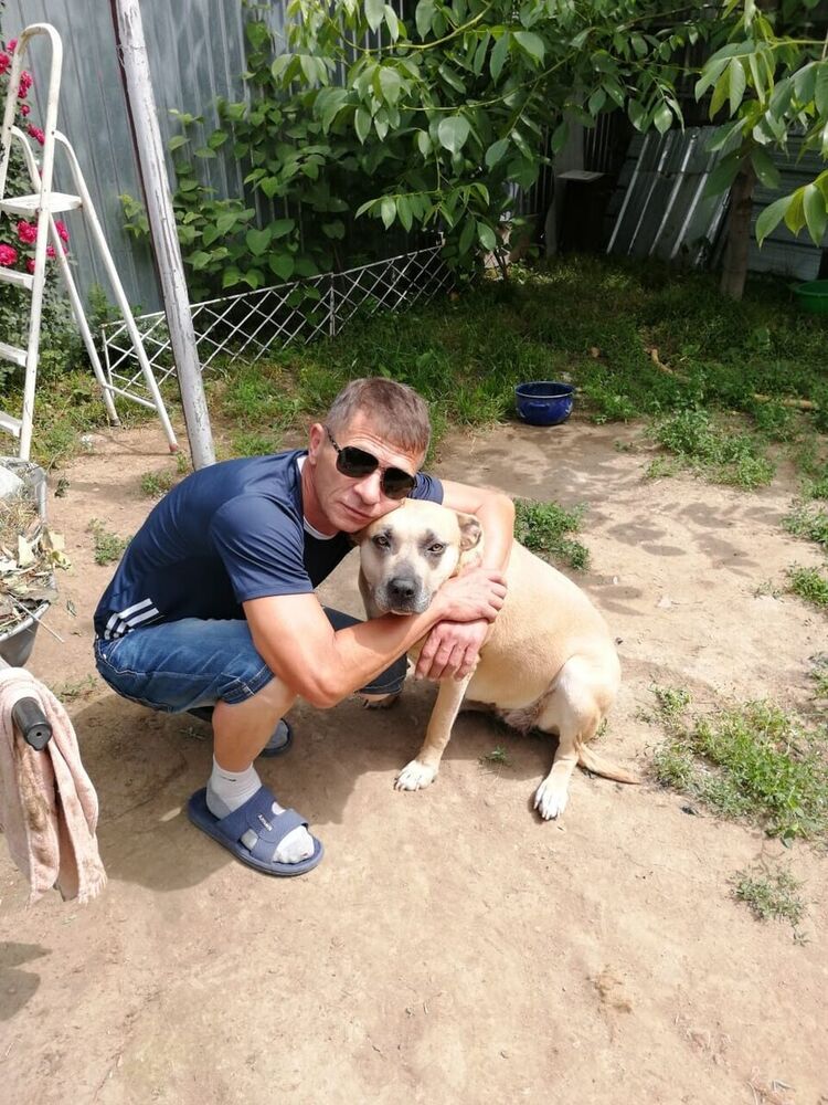 ���������� ������, ���� ������� �������, 55 ���, ������������ ��� ����� � ���������, c�������� ���������