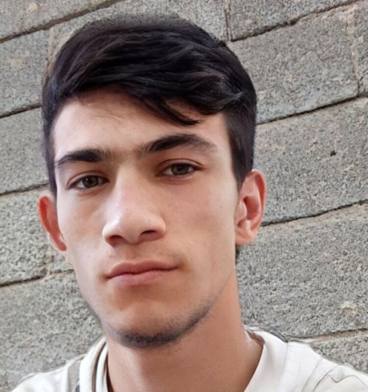  44264172  , 31 ,    