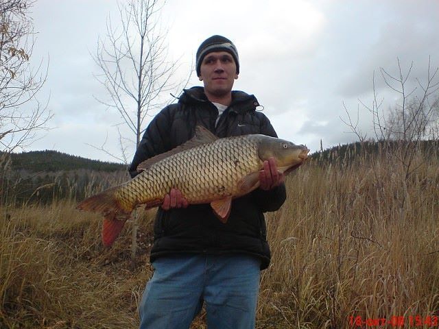 ���� 24955252 ������� �����, 41 ���, ���� ���������� � �����������