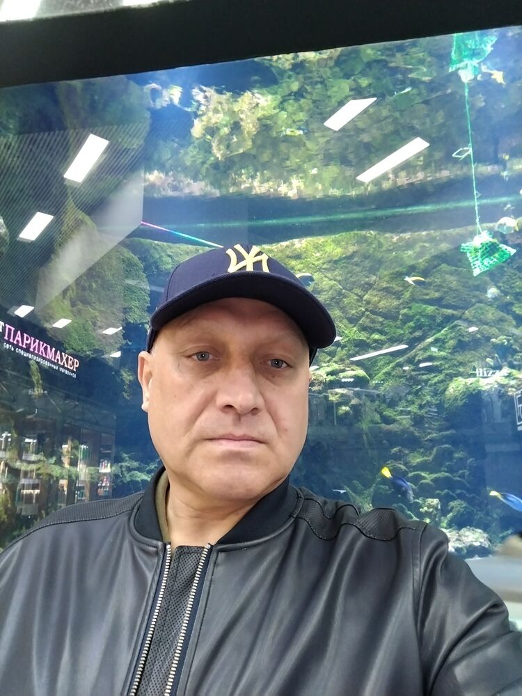  53570242  , 43 ,    