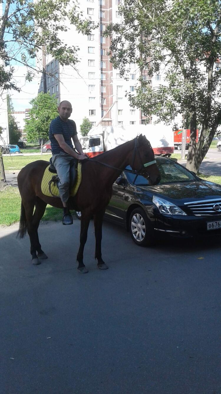 ���������� �����-���������, ���� ������� ������, 45 ���, ������������ ��� ������, ����� � ���������