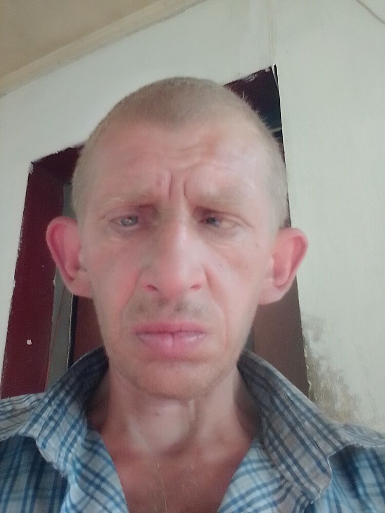  47133542  , 48 ,    