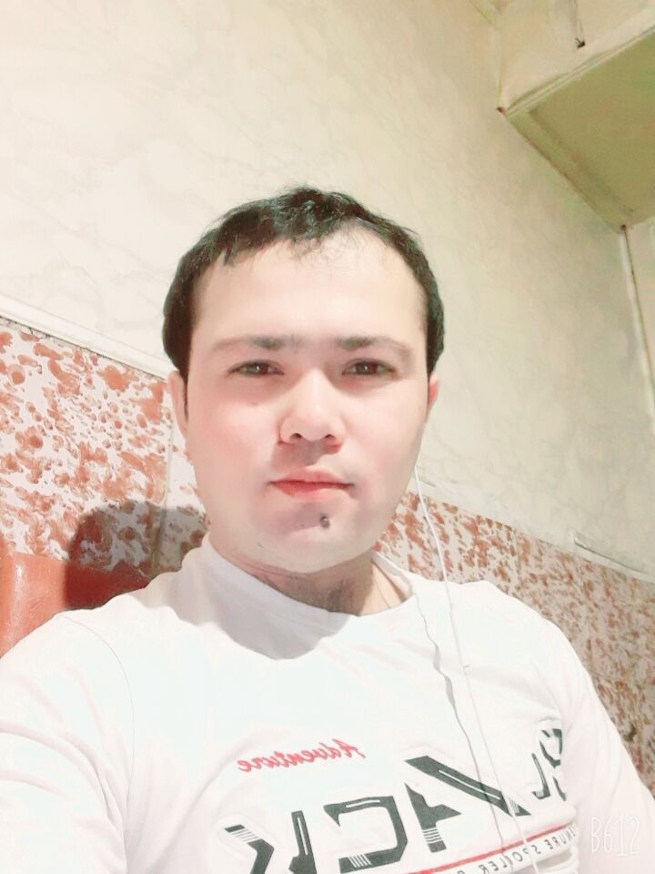  29605152  , 31 ,    