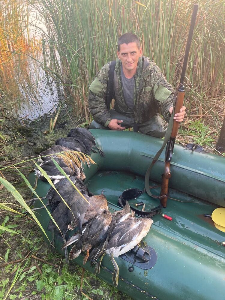 ���� 48060672 ������� A�������, 43 ����, ���� ���������� � ������