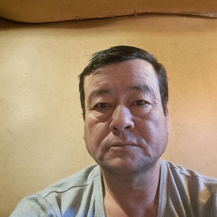  49092462  , 46 ,    