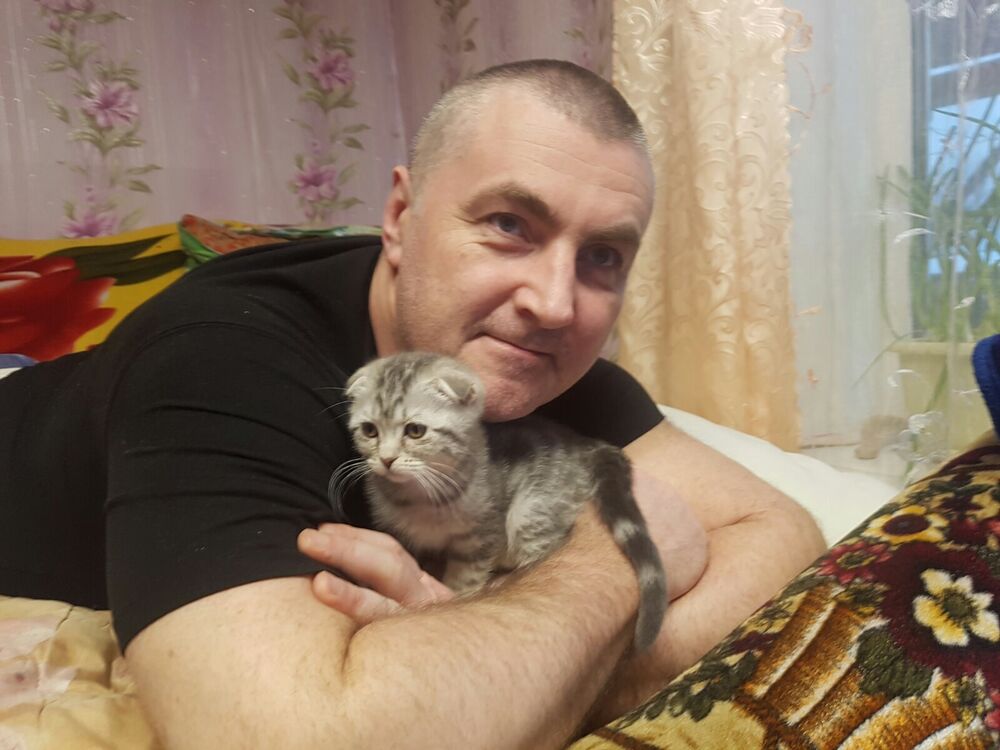 ���� 40623362 ������� ����, 50 ���, ���� ���������� � ������