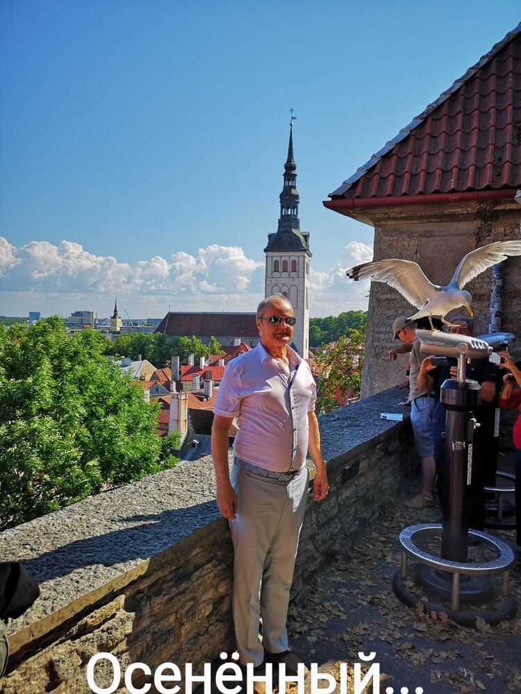 ���� 54710522 ������� ��������, 71 ���, ���� ���������� � �������