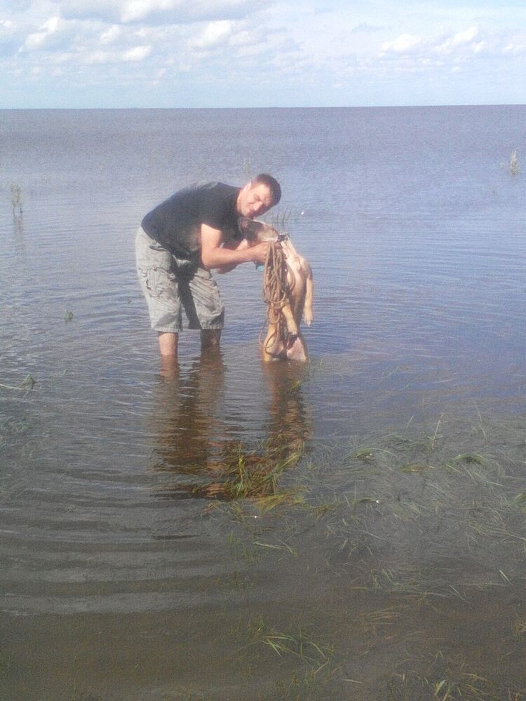 ���� 17262792 ������� �������, 46 ���, ���� ���������� � �����-����������