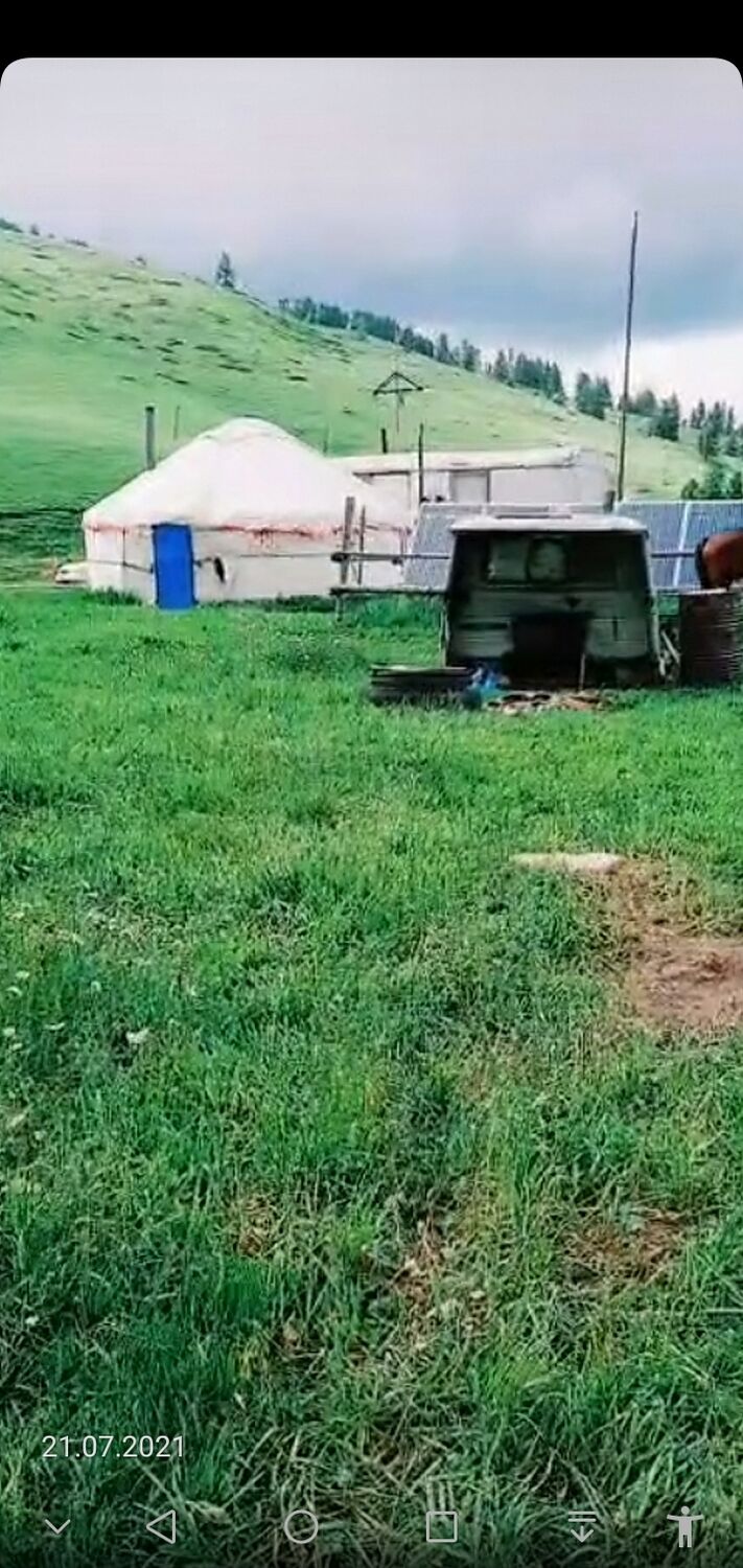 ���������� ������, ���� ������� �����, 45 ���, ������������ ��� c�������� ���������