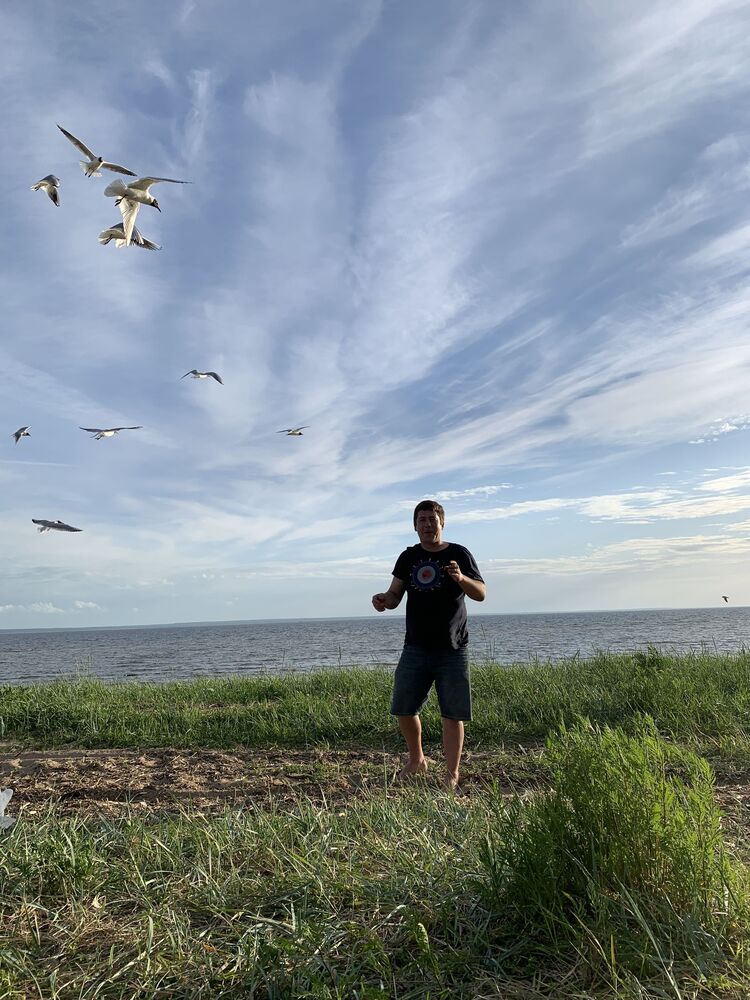  27190492  , 39 ,    -