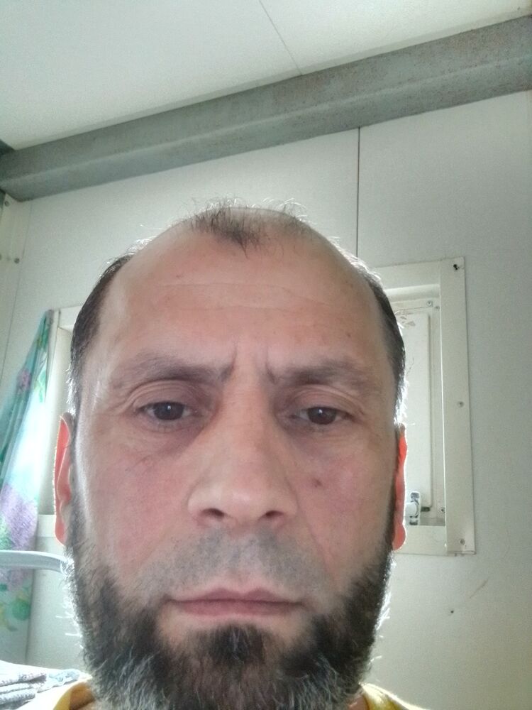  33576022  , 50 ,    