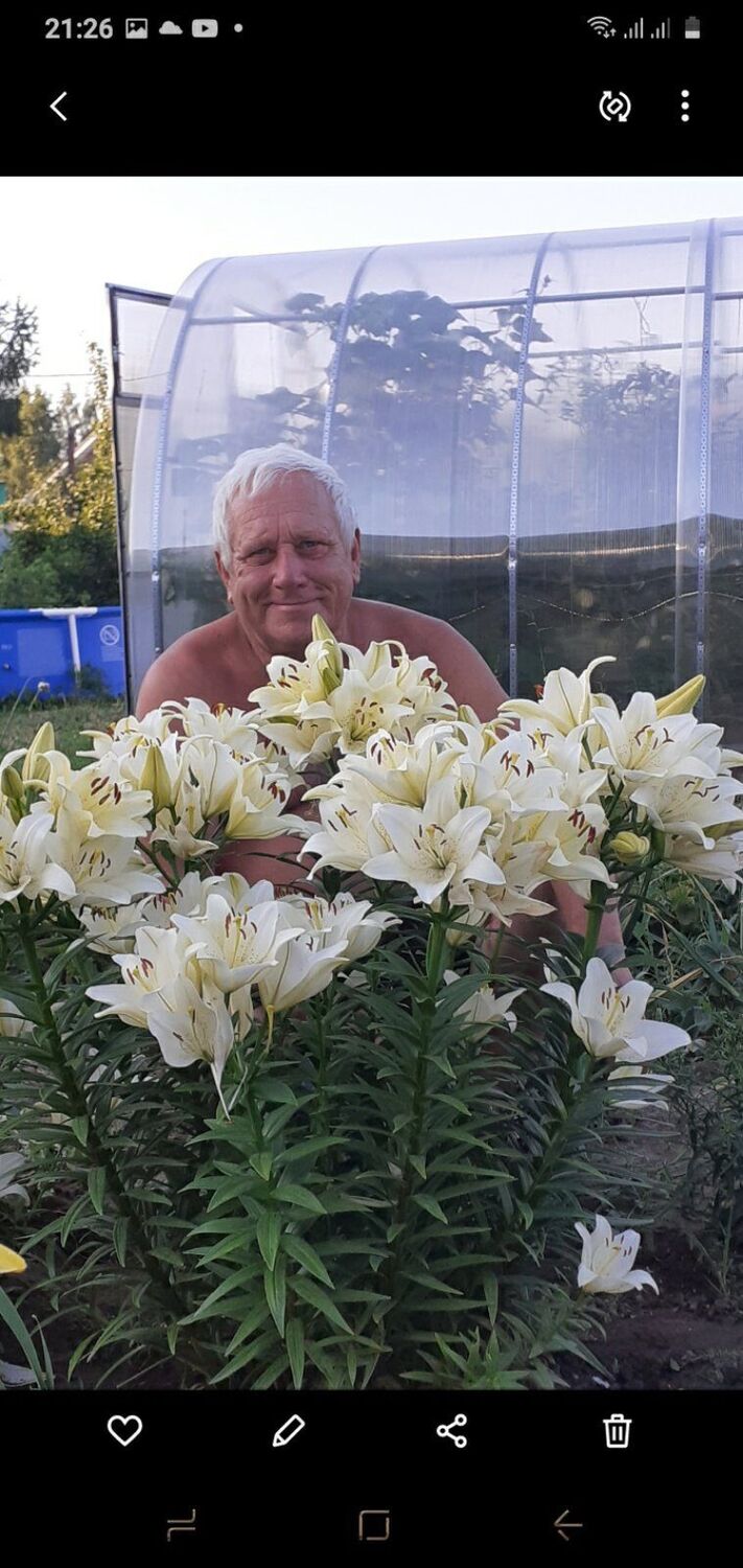 35454912  Zheka, 69 ,     