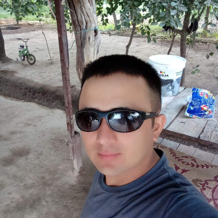  50969642  , 27 ,    