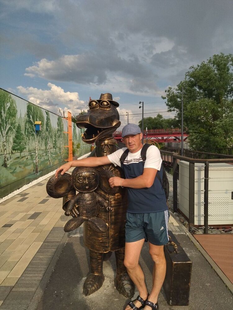  52281772  , 43 ,    
