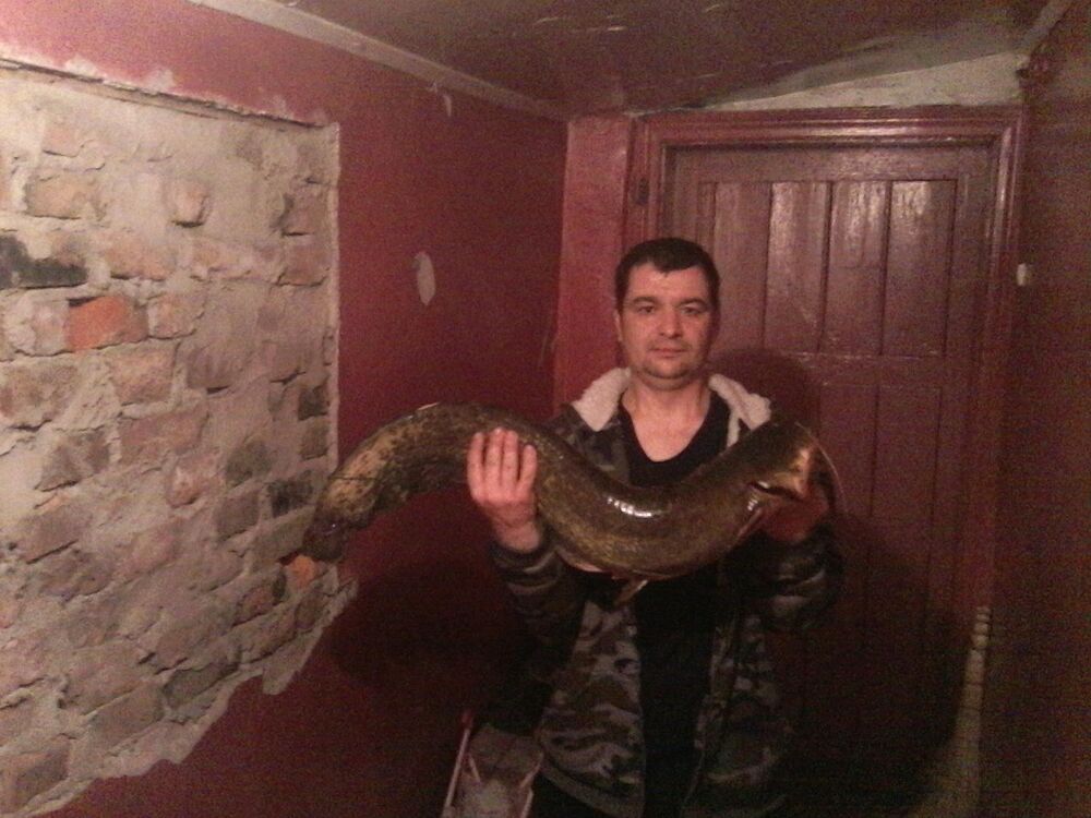  ,   , 41 ,   c 
