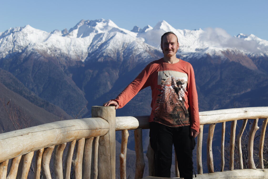 ���� 56055302 ������� �������, 36 ���, ���� ���������� � ������������