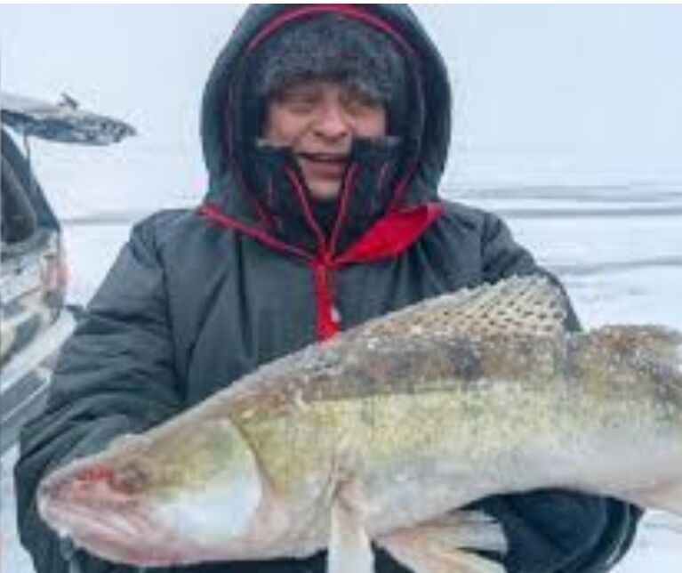 ���� 54888442 ������� ��������, 48 ���, ���� ���������� � ���������