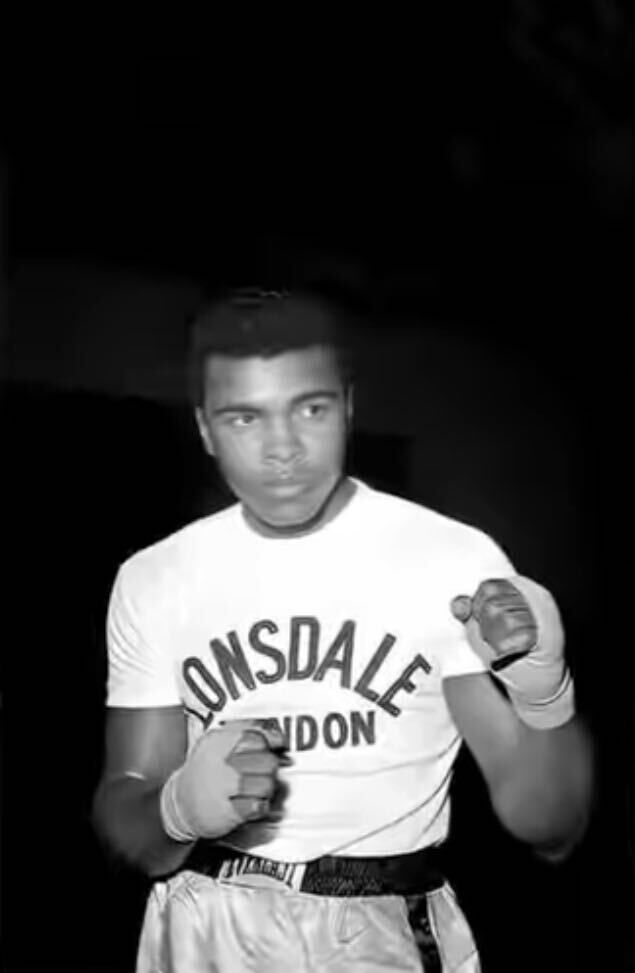 ���� 42426312 ������� �����, 26 ���, ���� ���������� � �������