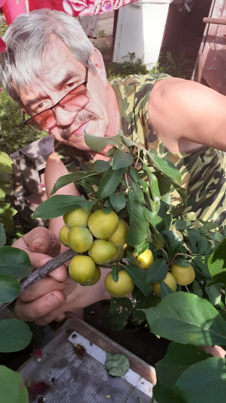 ���������� ��������, ���� ������� ������, 65 ���, ������������ ��� ������, ����� � ���������, c�������� ���������