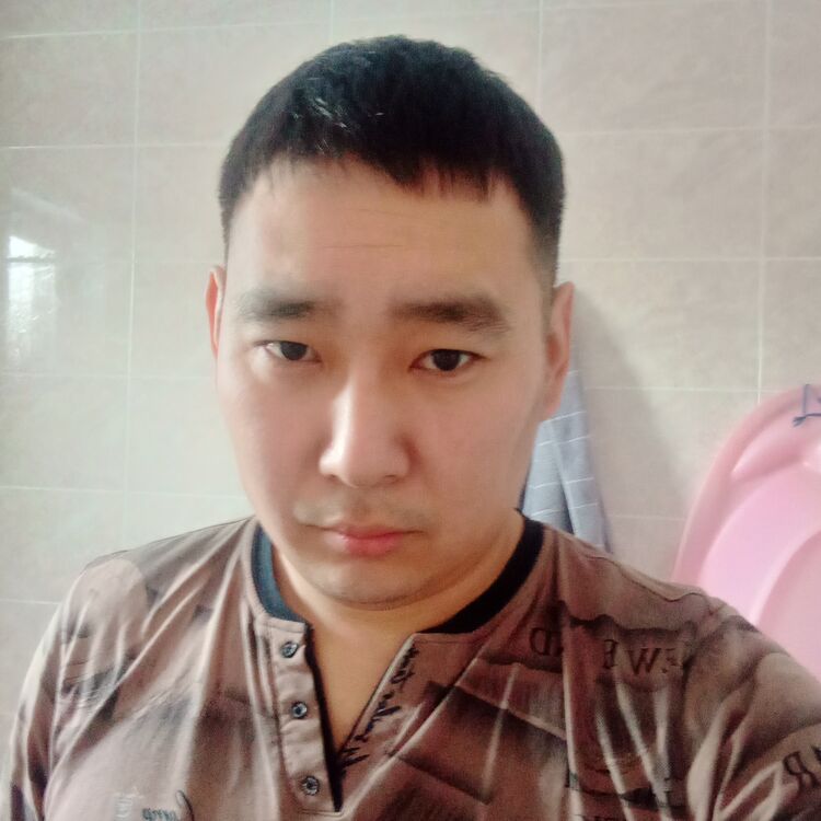  49482032  , 31 ,    