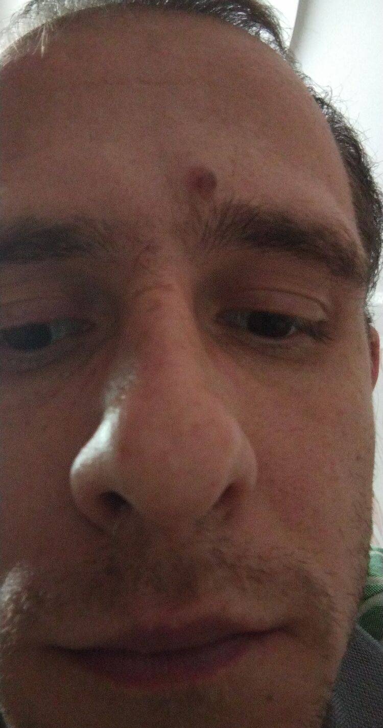 ���������� ���������, ���� ������� ������, 31 ���, ������������ ��� ������, ����� � ���������