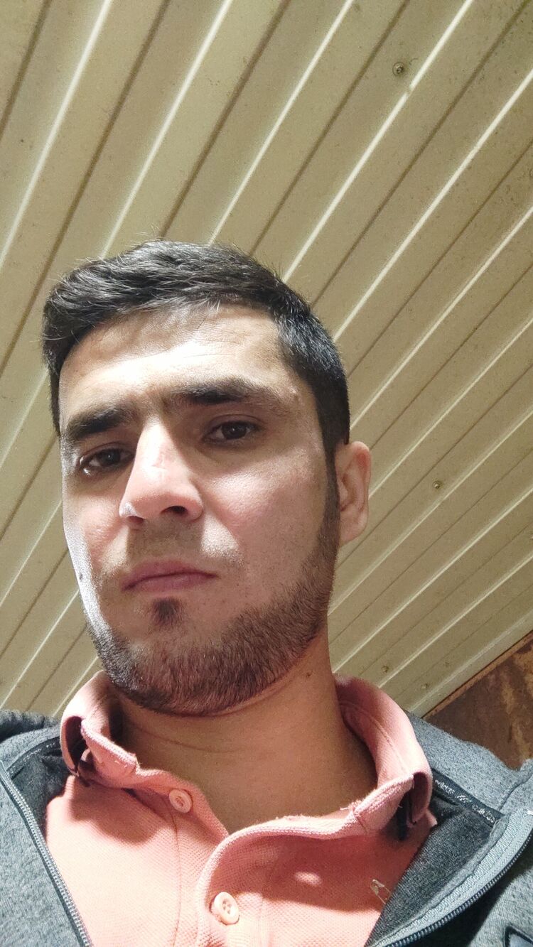  33457932  , 34 ,    