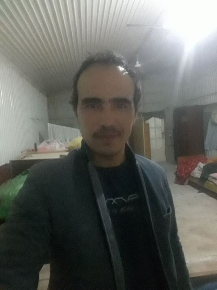 24207832  , 36 ,    