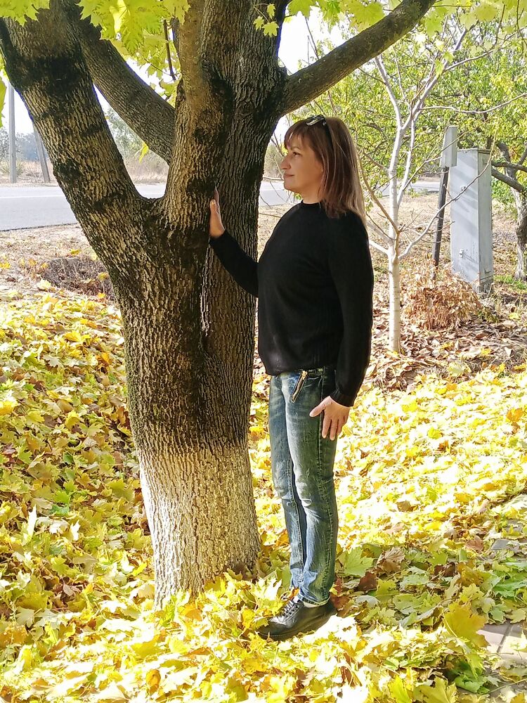  ,   , 49 ,   