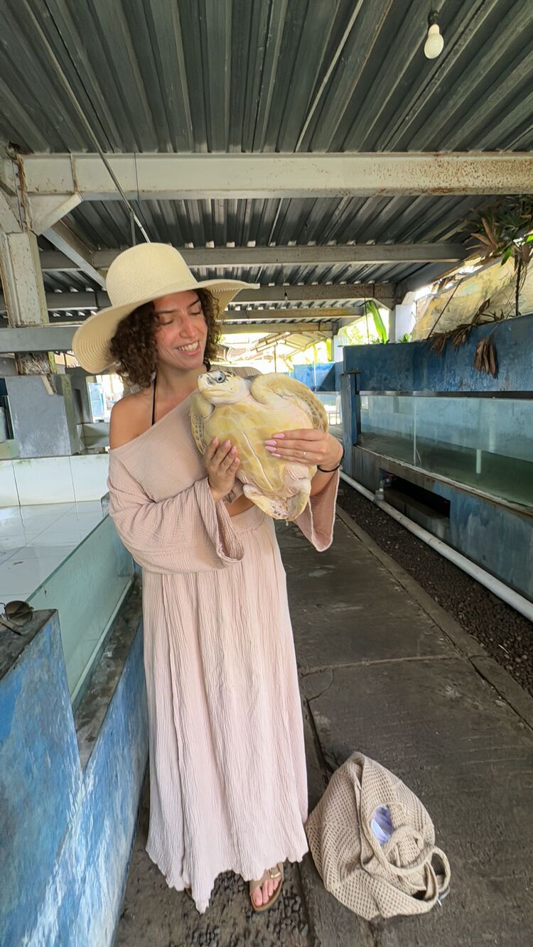 ���������� �������, ���� ������� ������, 29 ���, ������������ ��� ������, ����� � ���������