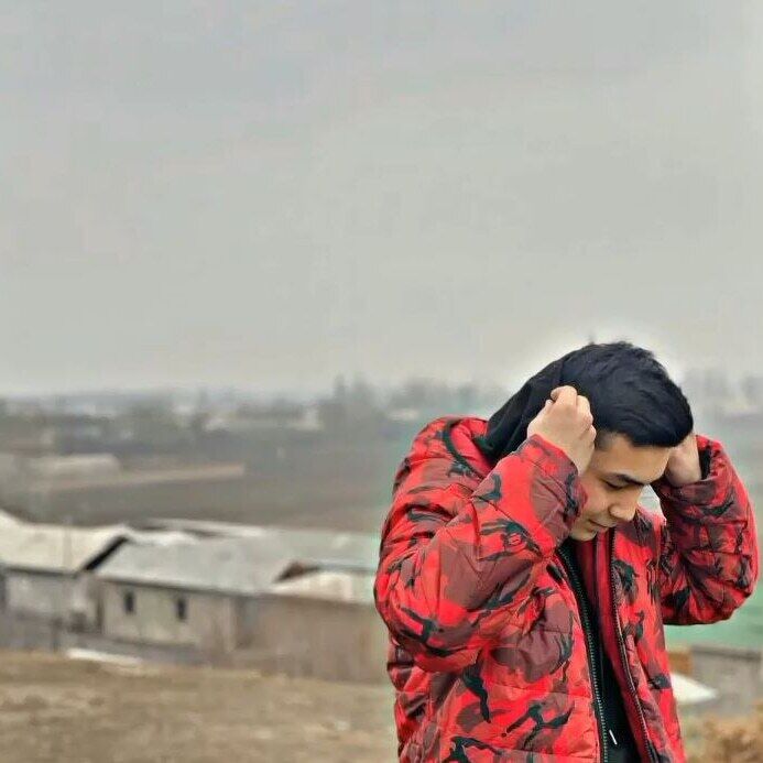  37113842  , 21 ,    -