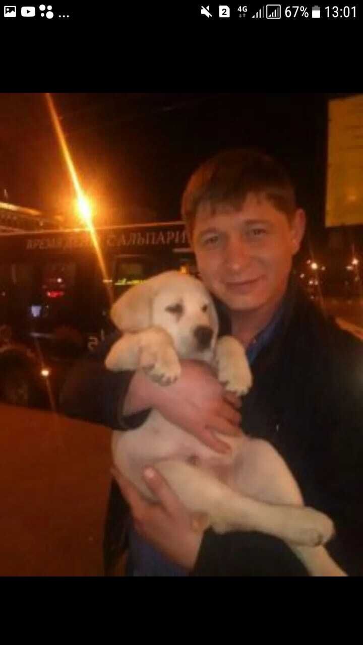 ���� 43200582 ������� ���������, 41 ���, ���� ���������� � ������