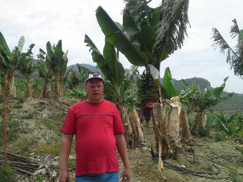  8436462  Oleg, 47 ,    
